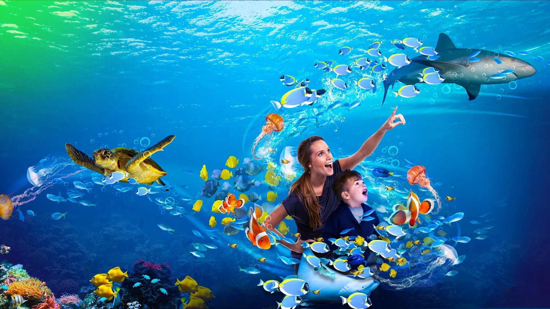 Sea life отзывы. Брайтонский аквариум (sea life centre). Аквариум в брайтоне. Аквариум в сиднее. Морская жизнь.