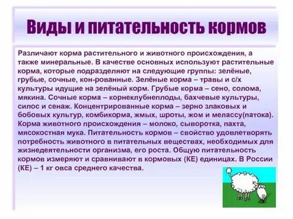 За кормою это