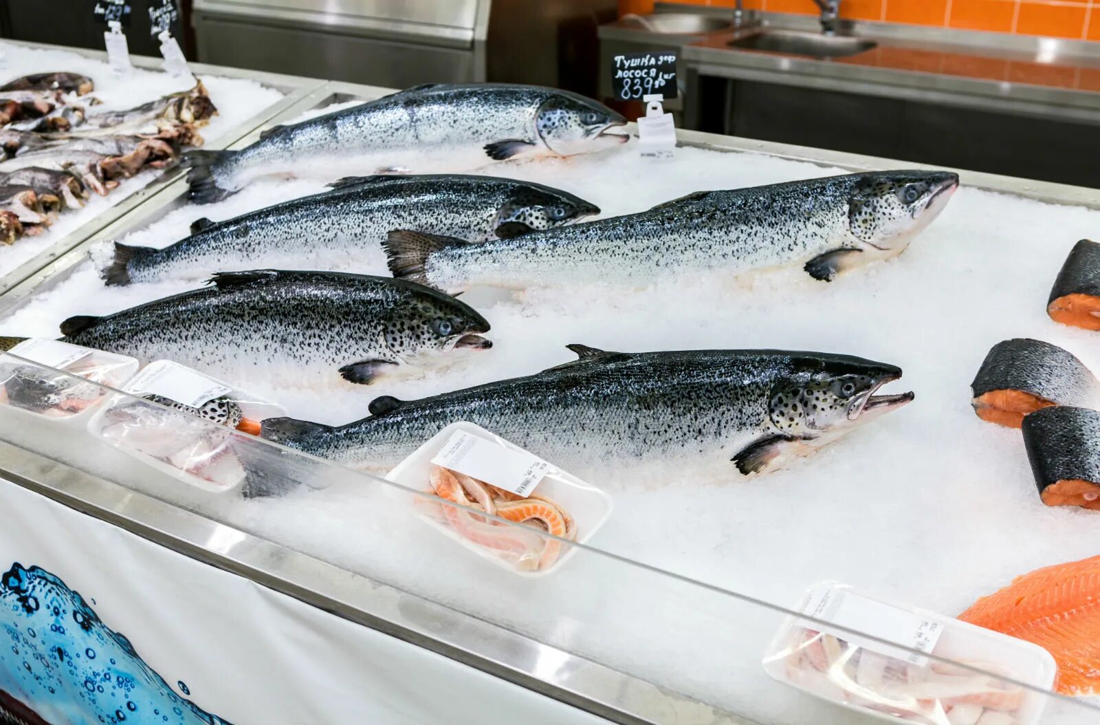 сырая рыба. охлажденная рыба в магазине. стейк форели свежемороженный. форель радужная стейк. мороженая рыба на прилавке.