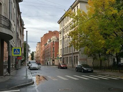 Петроградская сегодня