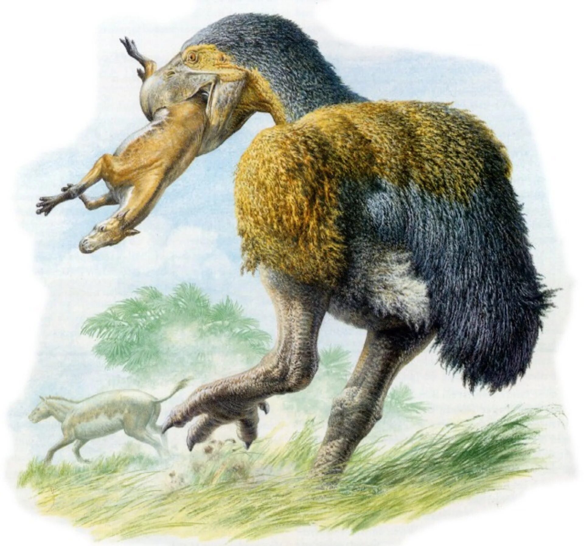 Австралопитек афарский в полный рост. Гасторнисы диатримы. Первая сеть с коммутацией пакетов arpanet. Прародитель интернета. Предок интернета.