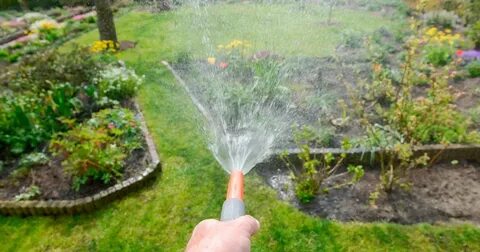 Two watering