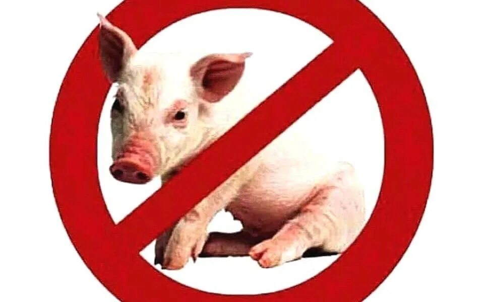 Почему свинина грязное. Мусульмане не едят свинину.