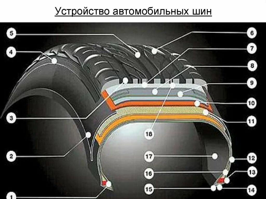 Строение автомобильной шины легкового автомобиля. Толщина резины шины автомобиля сбоку. Толщина грузовой шины сбоку. Толщина покрышки легкового автомобиля сбоку.