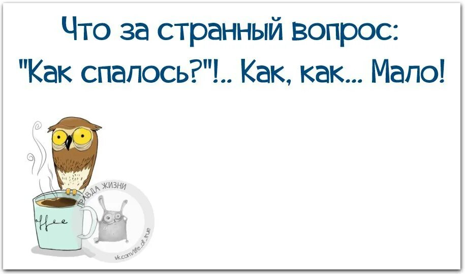 Как спалось ответ. Ответ на вопрос как спалось. как спалось картинки. как ответить на как спалось. смешной ответ на вопрос как спалось.