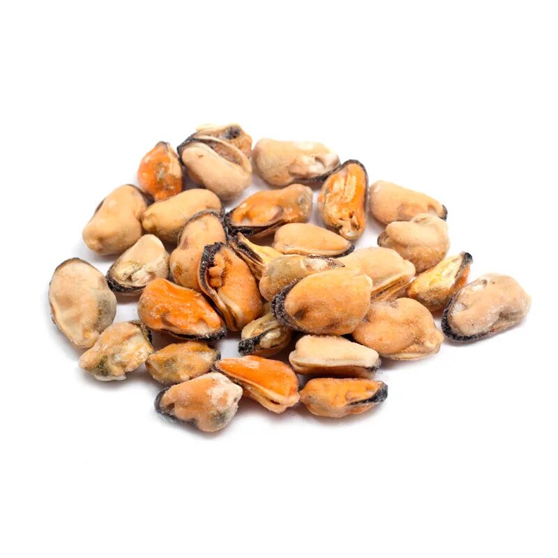 Мидии кг. Мидии чили в створках. Мидия 1/2 створки китай. Мидии створках 400г. Мидии и устрицы.