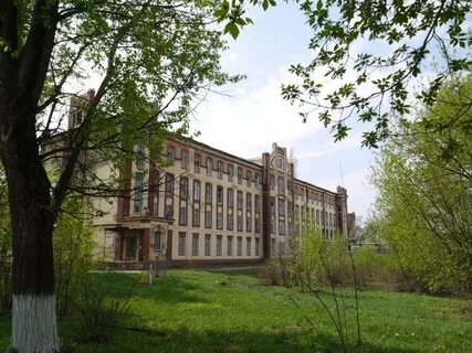 Сайт ликино дулевского лицея