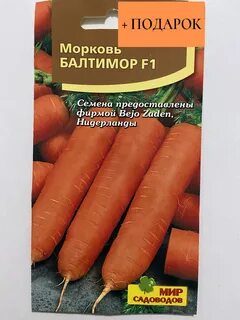 Морковь отзывы садоводов
