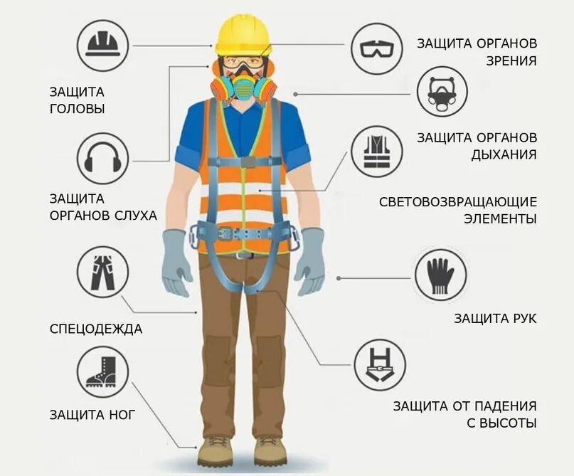 Выбери сиз которые могут быть дежурными. Выбери сиз которые могут быть дежурными