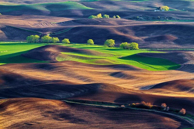 Холм в сша. Холмы Palouse, США. Холмы Палуз штат Вашингтон Америка. Зелёные холмы Палуз. Холмы разного цвета.