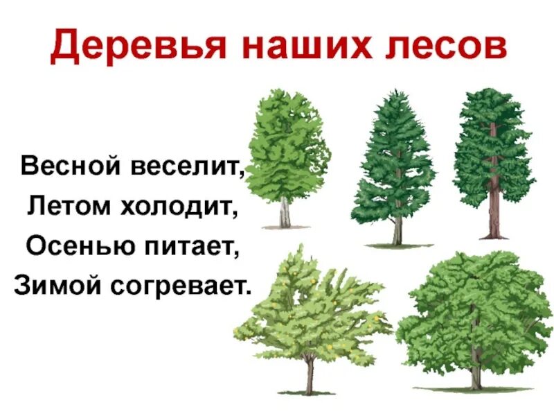 Весной веселит летом холодит зимой согревает. Весной веселит летом холодит осенью питает зимой согревает. Загадка весной веселит летом холодит осенью питает зимой согревает. Летом холодит осенью питает зимой согревает.