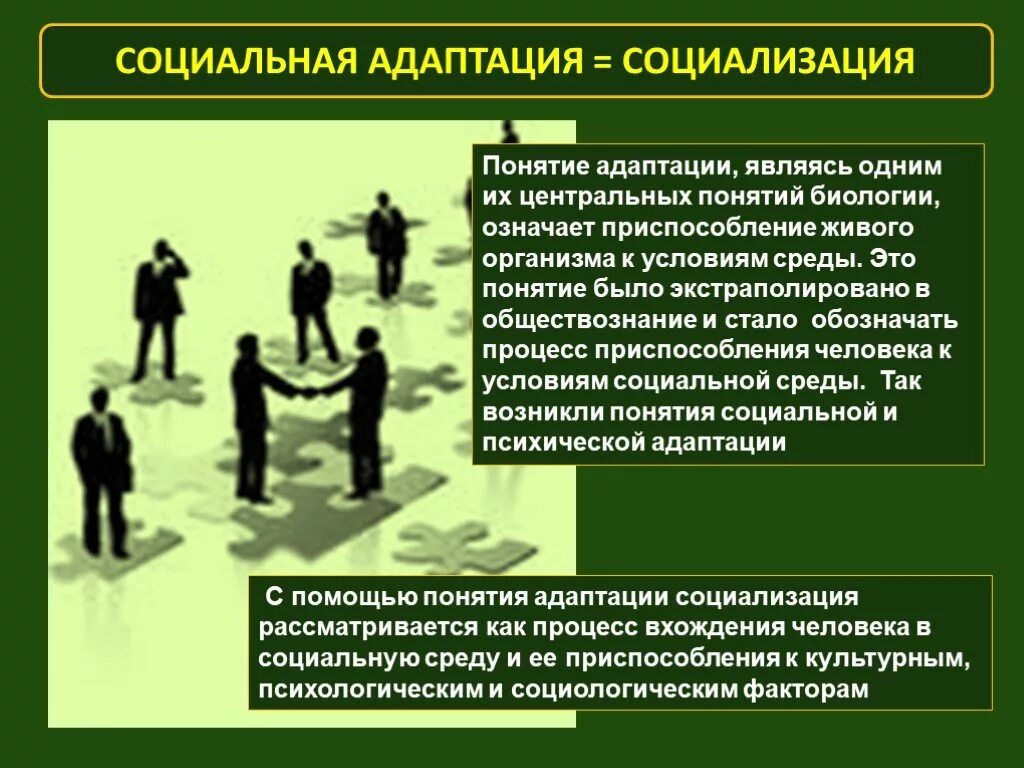 Социальная адаптация. Социальная адаптация личности. Социально-психологическая адаптация и социализация личности. Социализация и социальная адаптация