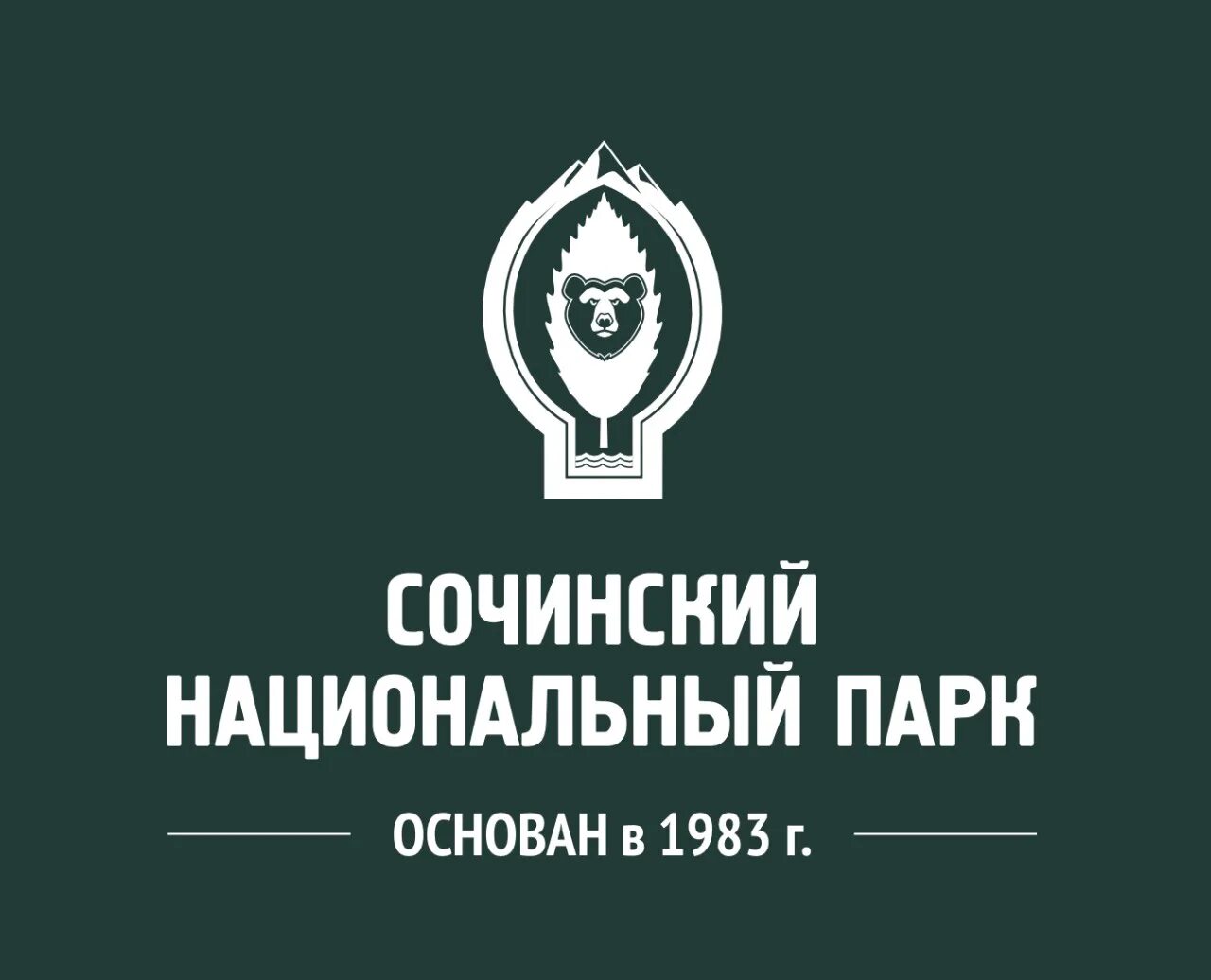 Сочи - Любимый город