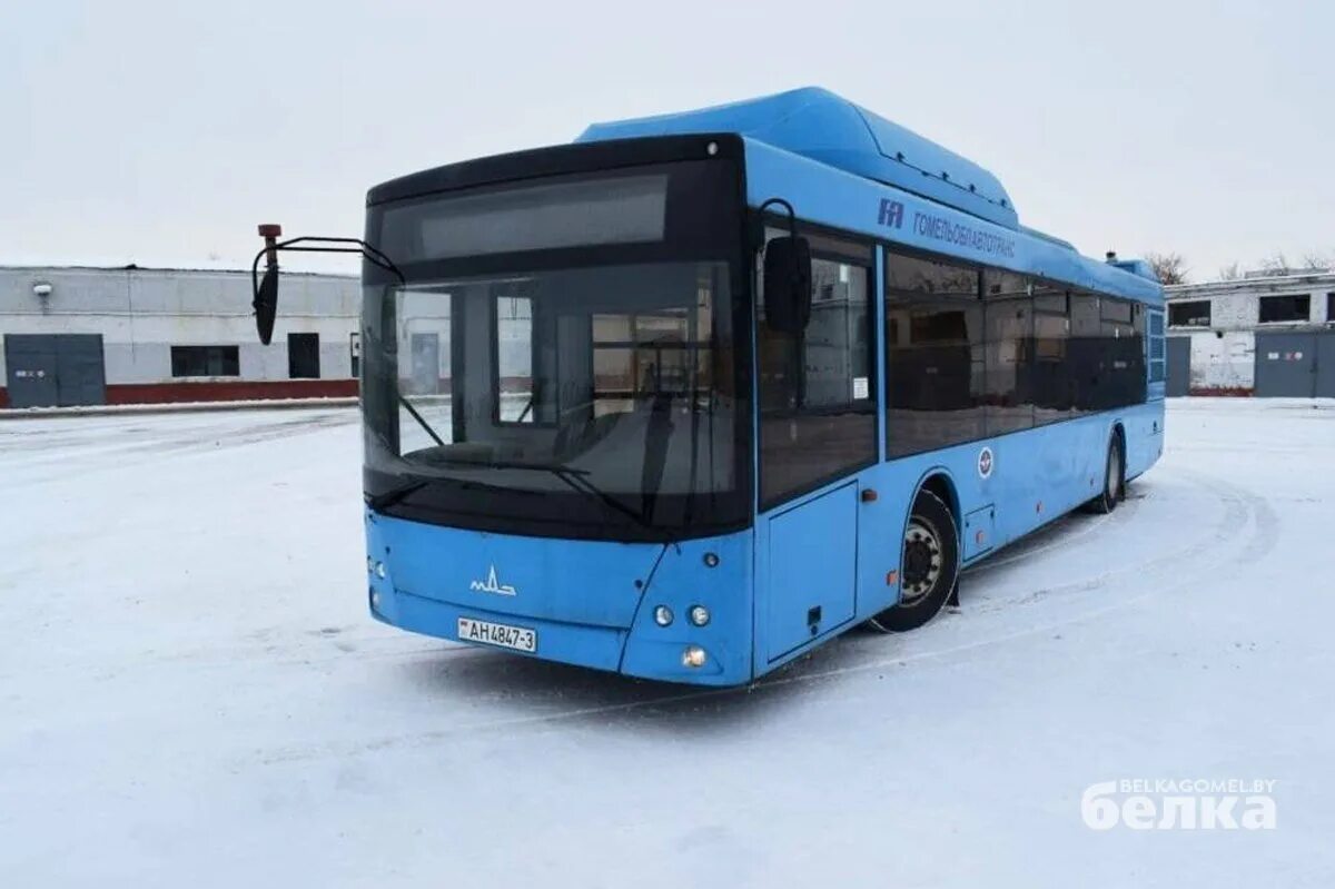 232 маршрутка спб. Автобус 270 спб. Маз-203. Автобус 270 москва. Маршрут 270.