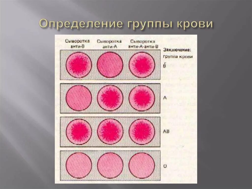 Группы крови физиология. Группа крови. Определение группы крови. Кровь физиология группы крови. 15 группа крови