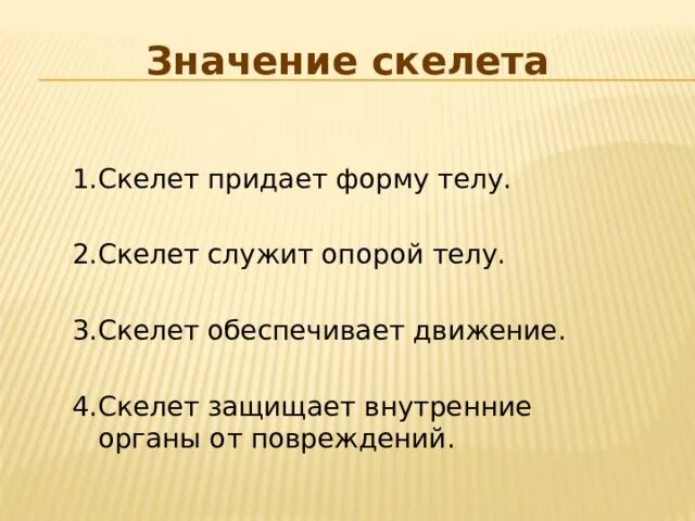 Значение скелета человека. Значение скелета. Значенич скелета. Каково значение скелета для человека.