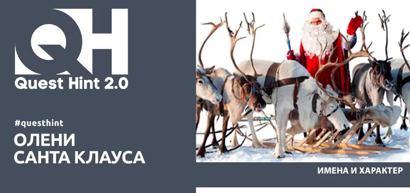 Клички оленей на севере. Клички оленей санта клауса. Как зовут оленей санты. Имена рождественских оленей. Клички оленей санта клауса.
