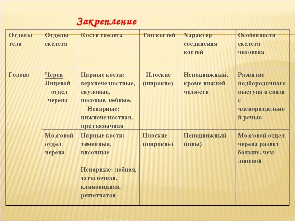 Таблица отделы тела отделы скелета кости скелета. Таблица по биологии 8 класс отделы тела отделы скелета кости скелета. Таблица кости человека 8 класс. Таблица кости скелета человека биология 8 класс.