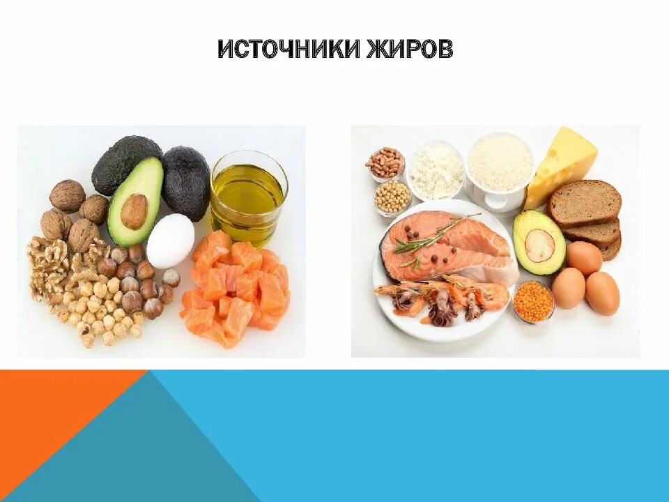 Какая пища содержит жиры. Источники жиров. источники жиров в питании. источники жиров в продуктах питания. полезные жиры в продуктах питания.
