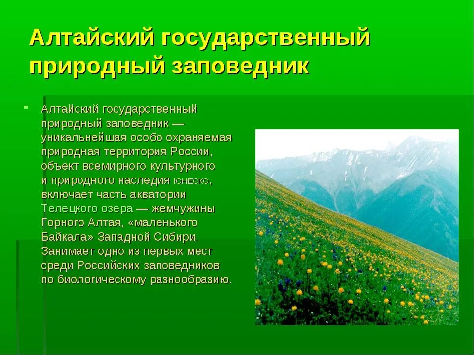 Охраняемые заповедники россии сообщение. Охраняемые территории заповедники. Алтайский заповедник. Заповедники нашего края. Заповедники России доклад.