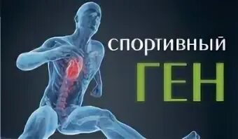 Спортивная генетика. Генетика в спорте. Спорт геном. Гены и спорт. Человеческая днк.