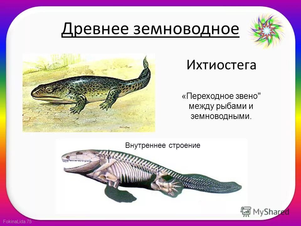 кистеперые рыбы на суше. переходной формой между земноводными. переходные формы ихтиостега. переходные формы рыб и земноводных. переходной формой между земноводными.