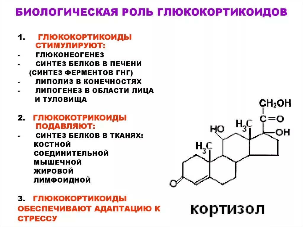 Тироксин кортизол