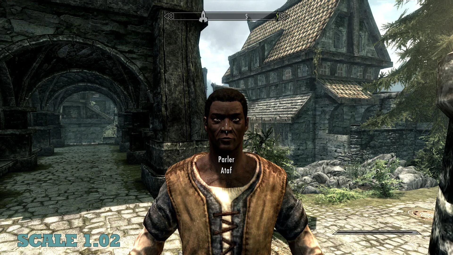 Консоль персонажи скайрим. Амрен скайрим. Скайрим мила валентия. С скайриме красивые женихи. Гатнор скайрим.