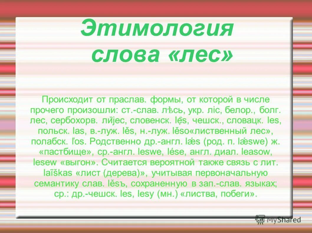 Самый большой текст леса. Слово лес. Лесные слова. Значение слова лес. Форма слова к слову лес.