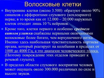 Функции волосковых клеток