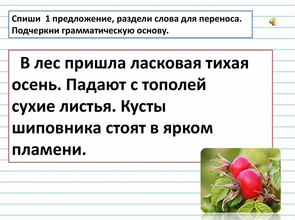 Отработка правила переноса слов. Раздели Сова для переноса. Деление слов для переноса. Разделить слова для переноса. Раздели для переноса предложение.