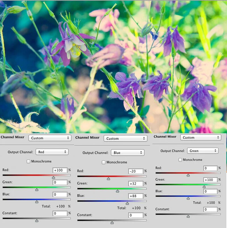 Epson l805 цвета. обработка в лайтруме. настроить цветокоррекцию. настройка цвета для печати. как настроить цвет на принтере.