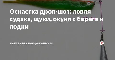 Ловля судака на дроп шот