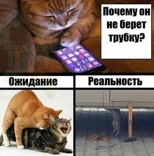 Берешь почему телефон