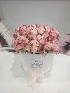 My rose am