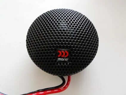 Morel tempo 6