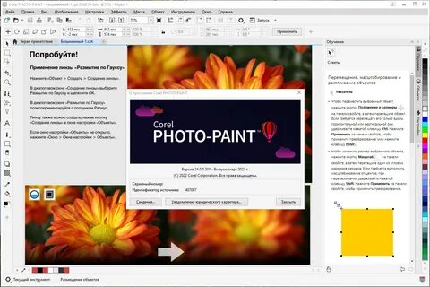 coreldraw 2022 portable torrent: Yandex Görsel'de 902 görsel bulundu