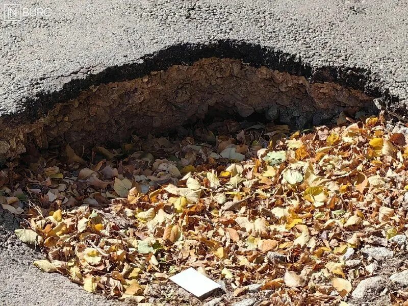 Скрыта яма. Крышка для септика. Опавшие листья во дворах. Скрыта яма. Круглые ямы в лесах.