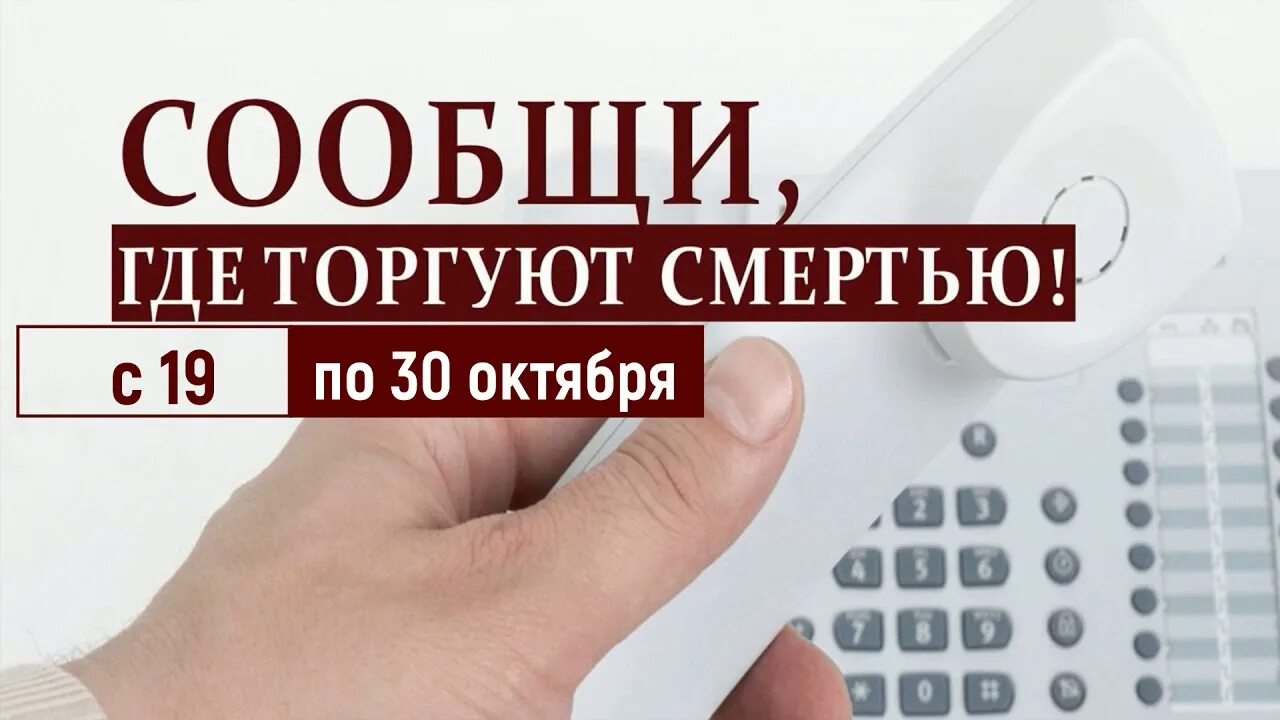 Уведомлять где. Сообщи где торгуют смертью 2021. «Сообщи, где торгуют смертью!» (Далее - акция).. Общероссийская акция «сообщи, где торгуют смертью». Акция где торгуют смертью 2021.