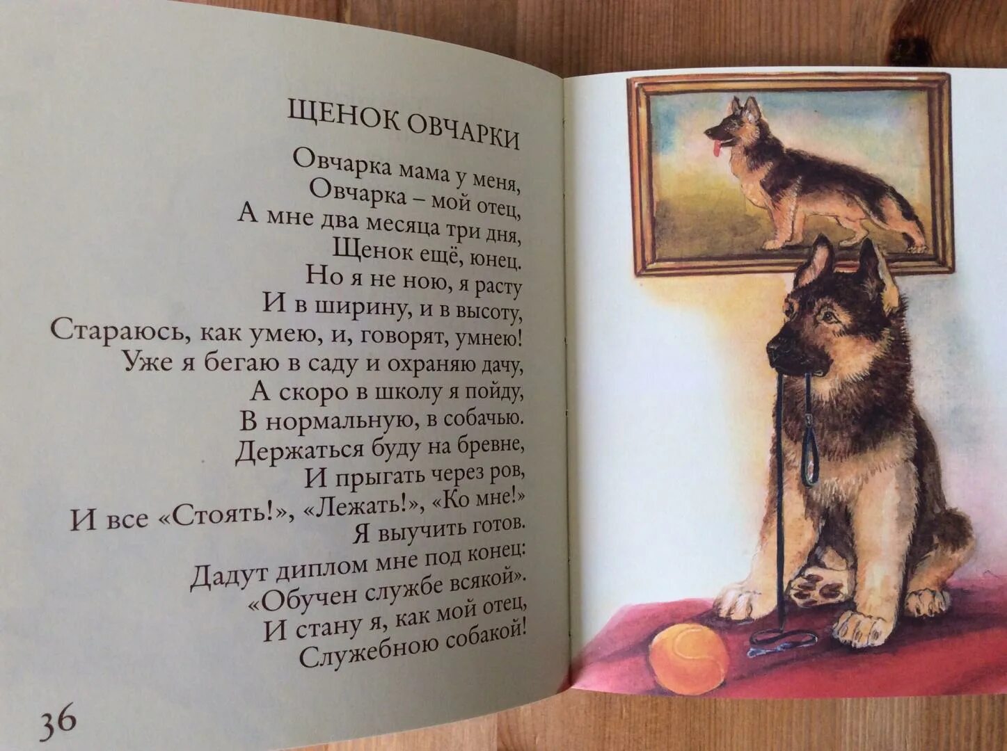 Стихотворение о собаке в день рождения. Стихи собаке на день рождения. Картинки с днём рождения с биглем. Поздравление собаке. Поздравления с днём рождения собаке.