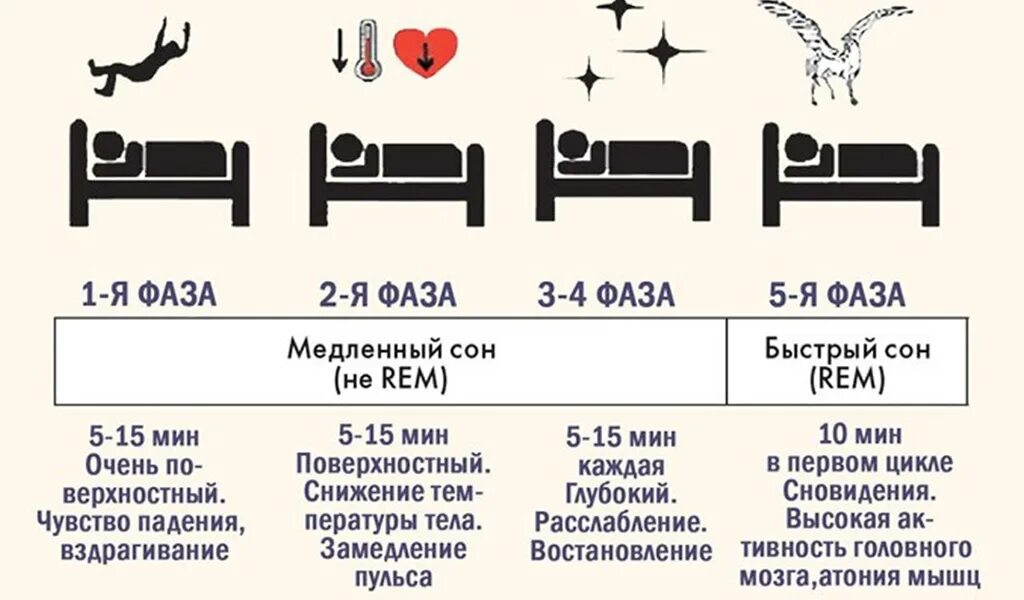 Сон человека медленный и быстрый. Фаза медленного и быстрого сна их характеристика. Фазы быстрого и медленного сна таблица. 4 Стадии медленной фазы сна. Сколько длится 1 фаза сна.