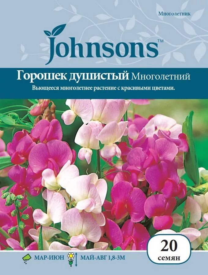 Горошек душистый предложение в роли подлежащего. Горошек многолетний (чина посевная декоративная). чина широколистная смесь окрасок. горошек многолетний чина широколистная. горошек душистый ароматная смесь.