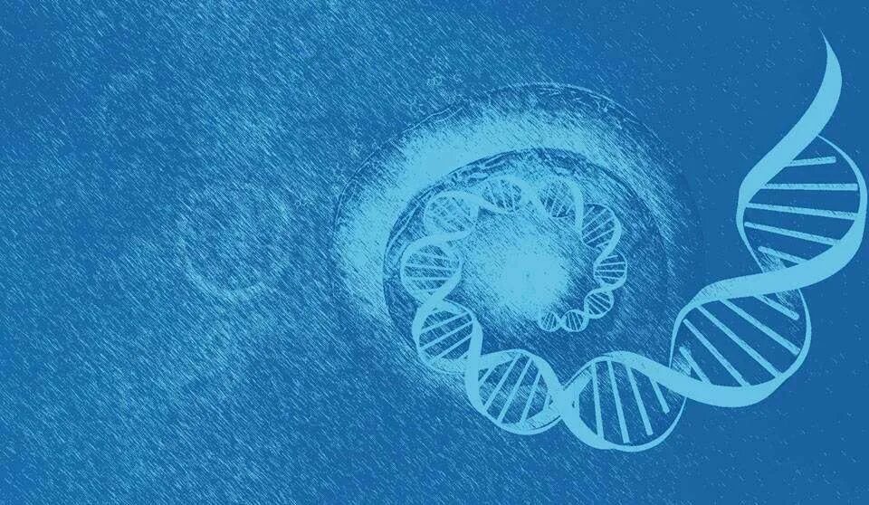 Single cell. Genome Ventures лого.