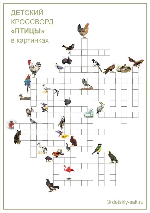 Кроссворд про птиц для детей. Птицы названия сканворд. Кроссворд птицы для дошкольников. Перелетные птицы кроссворд для детей. Кроссворд птицы для дошкольников.