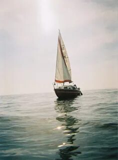 Wild sail