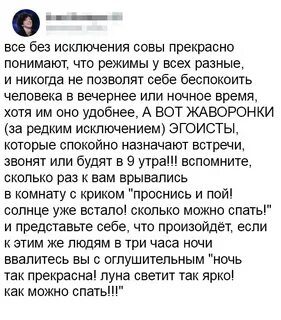 Сова никогда не
