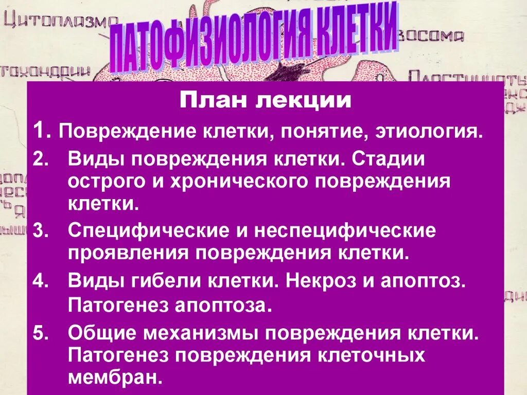 Виды повреждения клеток и тканей. Стадии острого повреждения клетки. исходы повреждения клетки. этапы повреждения клетки. понятие «повреждение клетки».