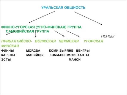Финны какая языковая семья