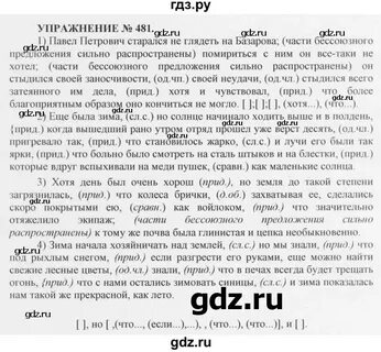 Русс яз 6 класс упр 481