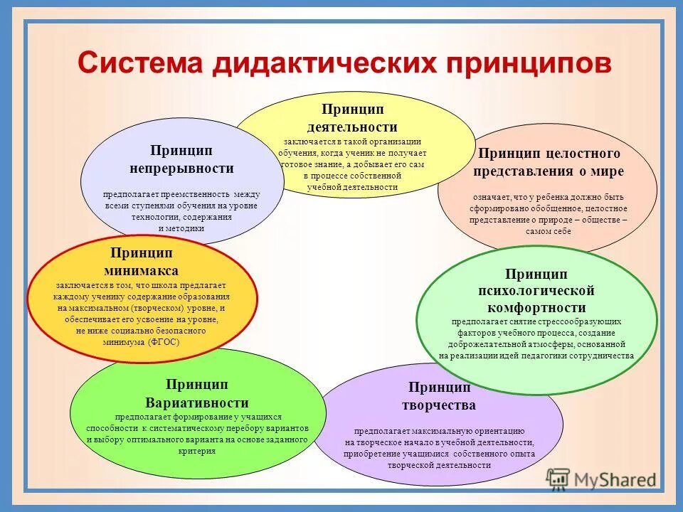 Суть дидактических принципов